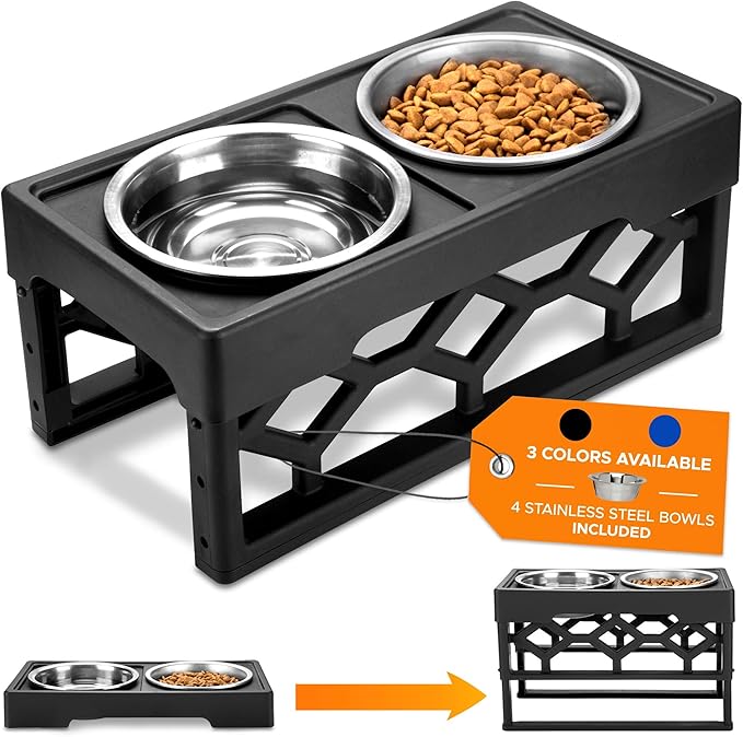 dog feeding bowls