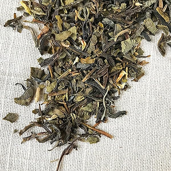 STASH TEA JASMINE BLOSSOM GREEN TEA LOOSE LEAF TEA, 16 OUNCES