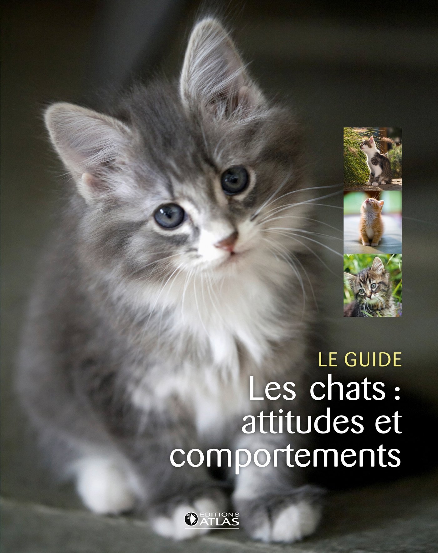 Amazon Fr Les Chats Attitudes Et Comportements Collectif Livres