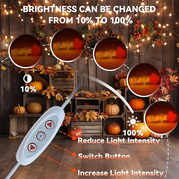 AOOWSDX 3 PCS THANKSGIVING DECORATIONS PUMPKIN MAPLE LEAF ACORN NEON LED LIGHTS, FALL LIGHTS WALL DECOR THANKSGIVING WINDOW LIGHT HALLOWEEN PARTY ROOM LAMP