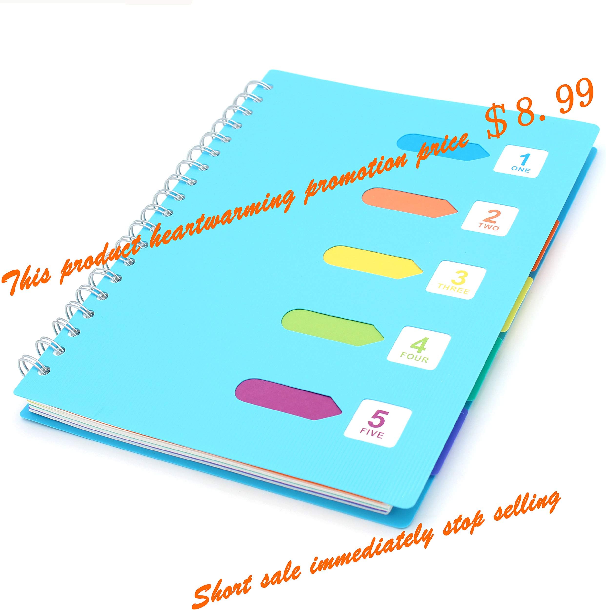 Tueascallk College Ruled Spiral Notebook, 5 Classified Items, B5 Specifications(7" x 10"), Blue, 240 Pages / 120 Sheets