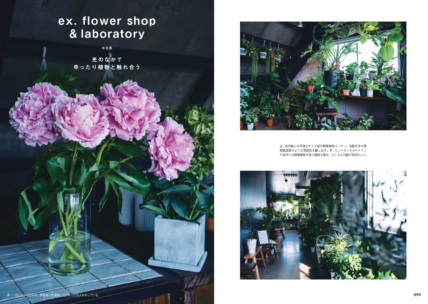 東京の美しいお花屋さん Amazon Com Books