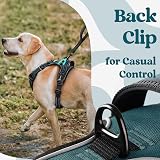 rabbitgoo Dog Harness Large No Pull Front Back Leash Clips Reflective Dark Green view 8