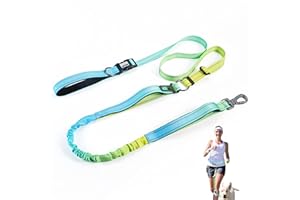JETOG Heavy Duty Hands Free Dog Leash, 5-7 FT Reflective Adjustable Waist Dog Leash Belt with Padded Handles, Shock Absorbing Bungee and Car Seat Belt for Large Medium Dogs (Yellow Blue, XL)