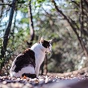 カスタマー画像