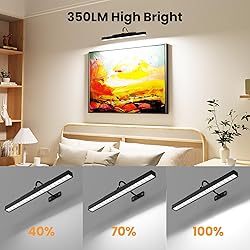 Dimmable Cordless Picture Light with Controller and