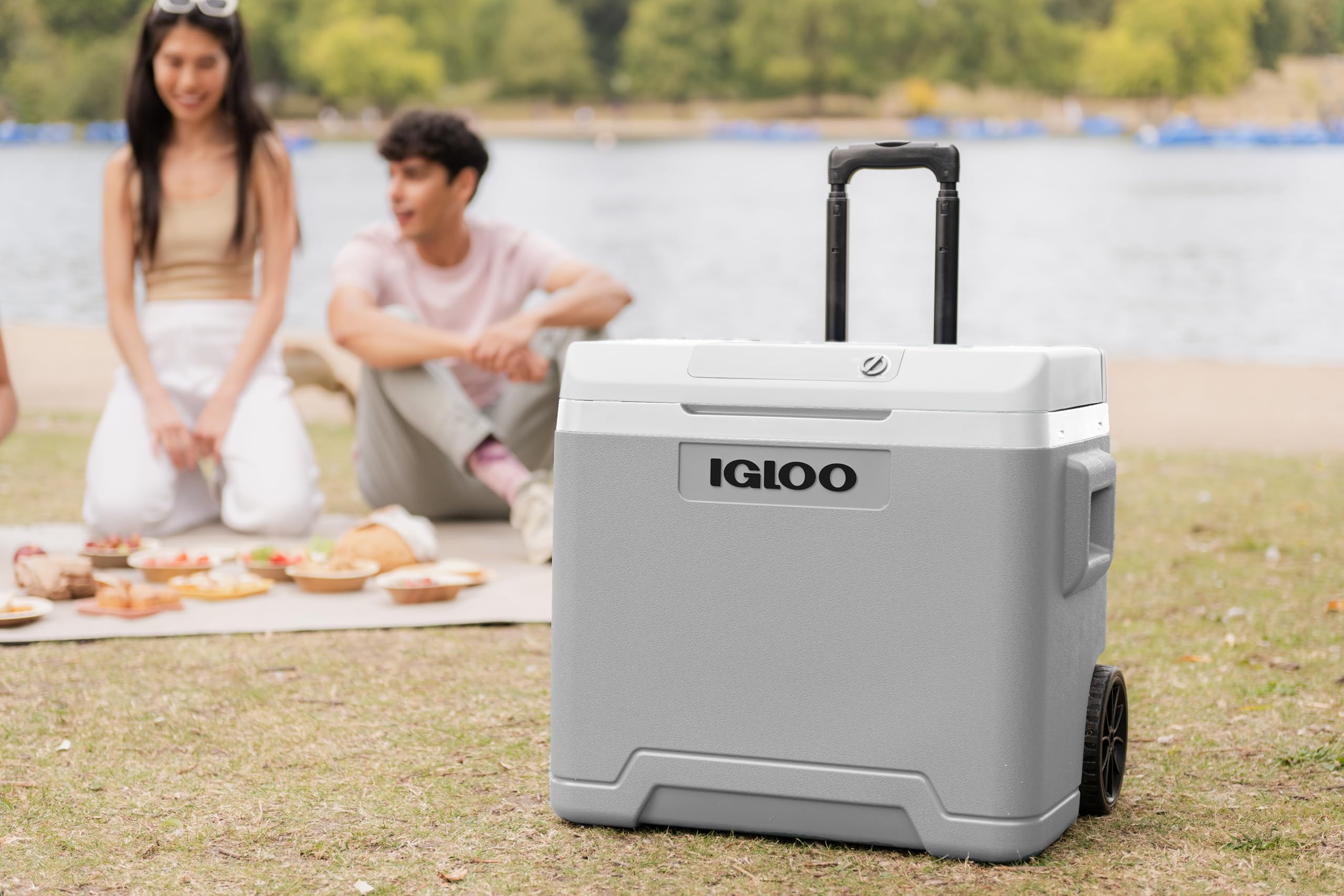 IGLOO IE42 elektrische Kühlbox, 12V und 230V, 42L - kompakter Mini-Kühlschrank für Auto, Camping, Urlaub, Boot, Festivals - mit Rollen und Teleskopgriff, praktischem Kabelfach und Eco/Max Modus 6