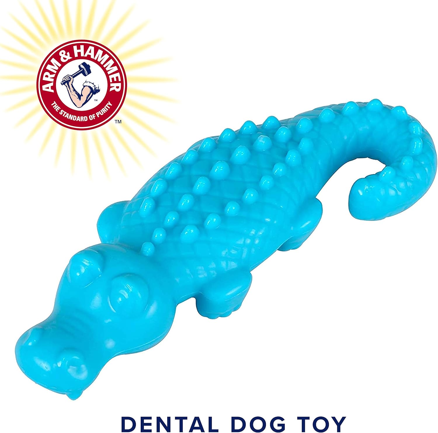 The Best Arm And Hammer Dentasaurus Home Previews