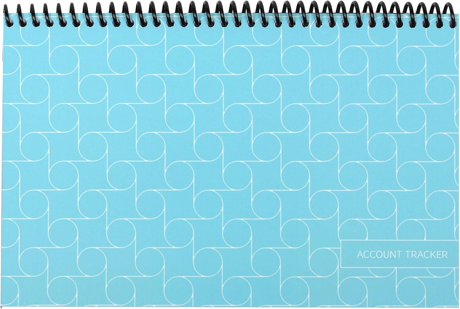 The Superior Check and Debit Card Register - Simple Account Tracker - W I D E Edition- Blue : Checkbook Registers : Office Products