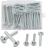 AMLOOPH M4 60-Pack Cabinet Screw Assortment 25-50mm Zinc Plated