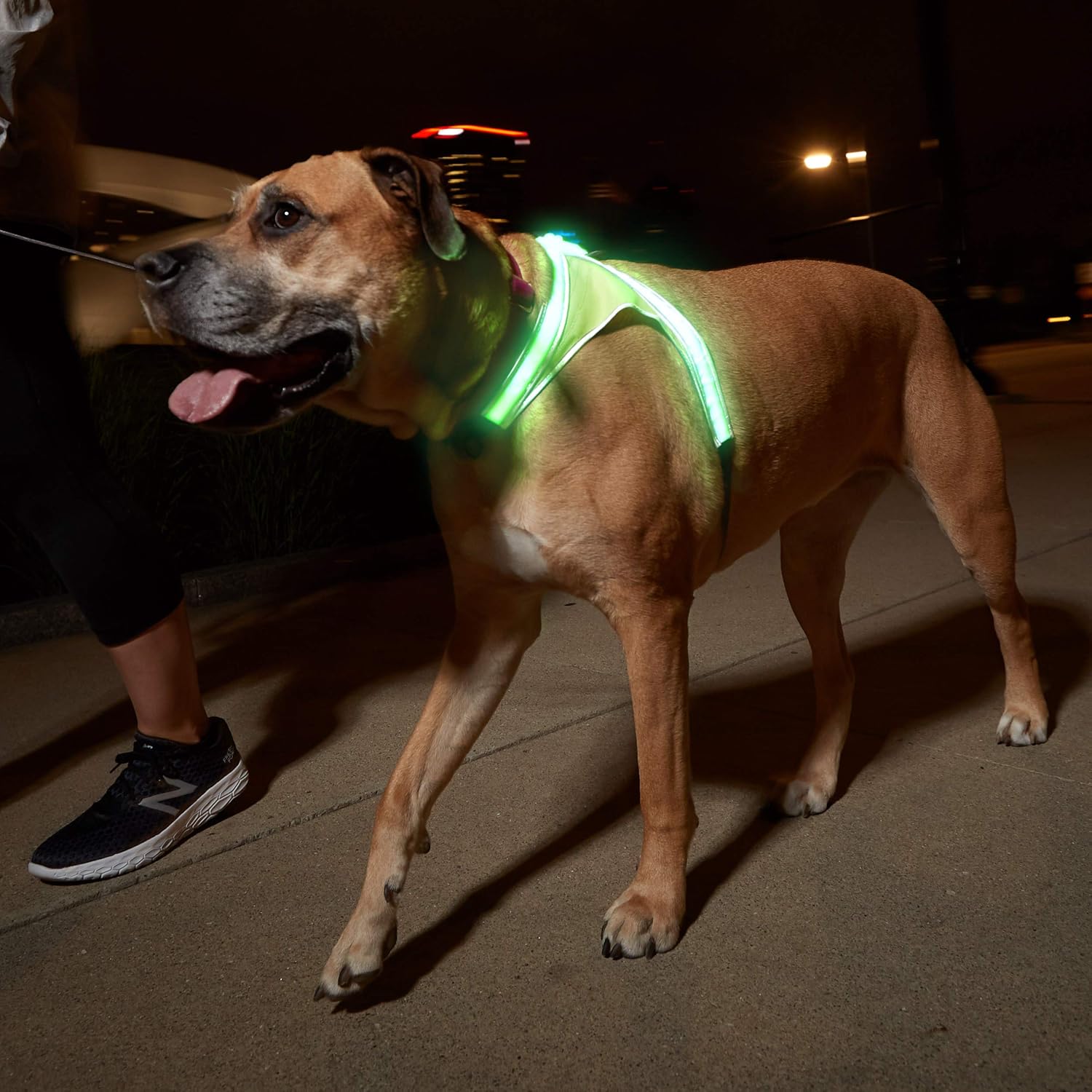 noxgear lighthound