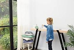 Netatmo Weather Station Indoor Outdoor with