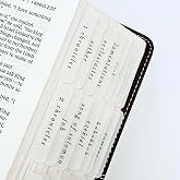 Script Vellum Bible Tabs by Bekah Rose | Neutral Sheer Paper | Simple &amp; Timeless Adhesive Index Tab Stickers | Journaling Supplies