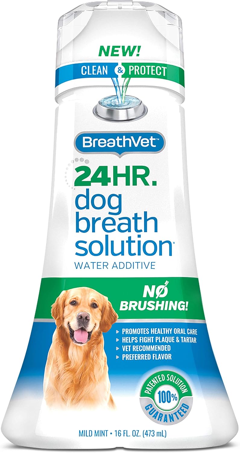 homemade dog mouthwash