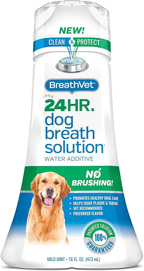 irish setter and cocker spaniel mix