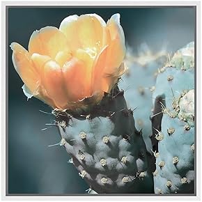 SIGNWIN Framed Canvas Wall Art Western Prickly Pear...