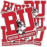 Desert Cactus Boston University Sticker Terriers BU Vinyl Decals Laptop Water Bottle Car Scrapbook Sheet T3 (Type 3-1)