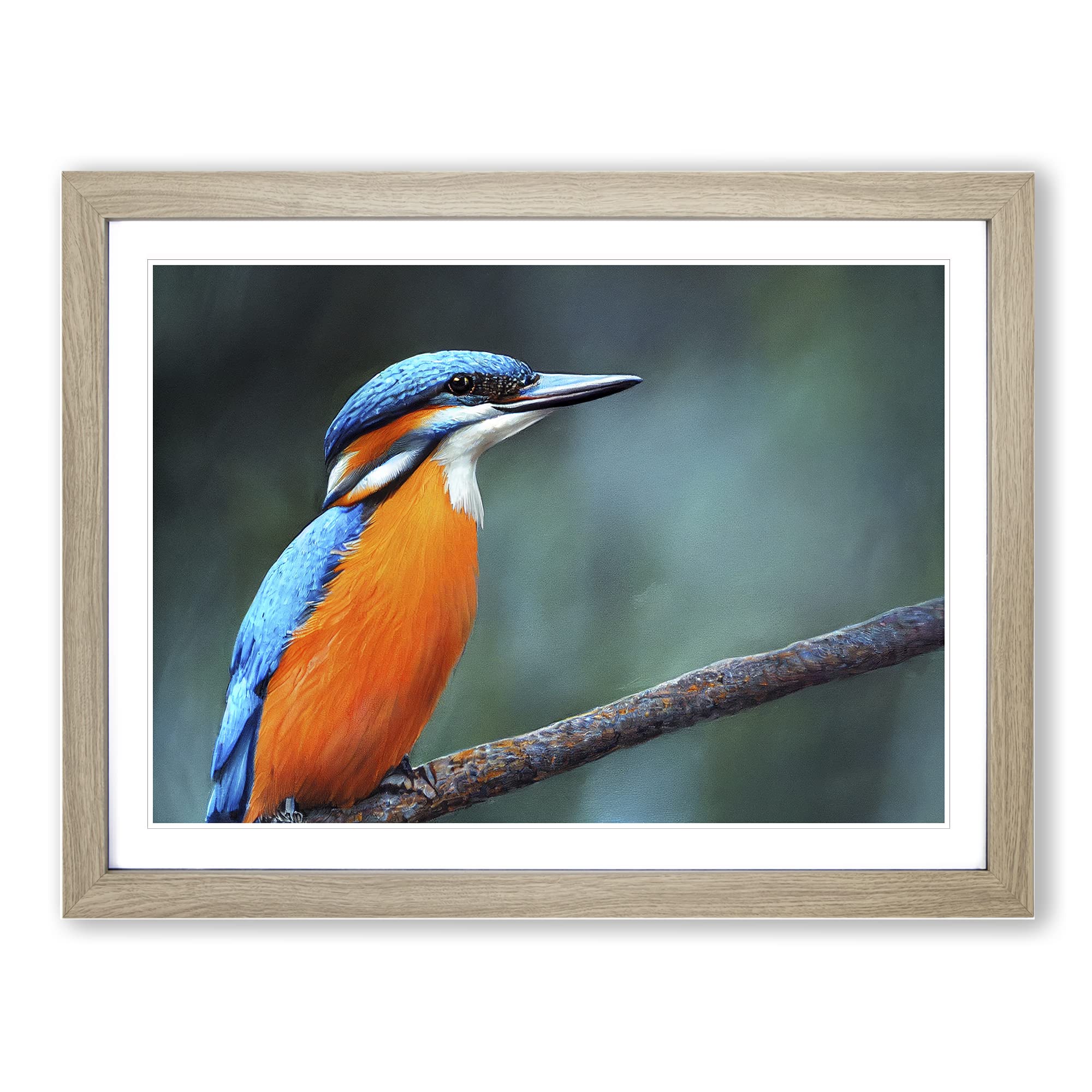 Welcoming Kingfisher Bird Framed Print | A4 Oak Framed Wall Art | Ready to Hang | Modern Nature Picture | Living Room Bedroom Lounge Office