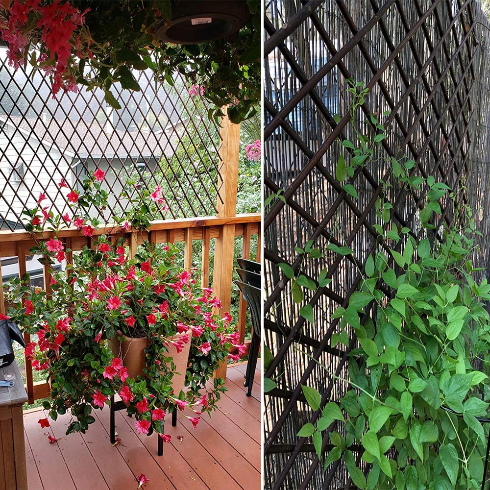 Melchef Nature Willow Trellis Expandable Plant Support Plant Climbing Lattices Trellis Willow Expandable Trellis Fence For Climbing Plants Support 36x92 Inch Double Panel Amazon In Garden Outdoors