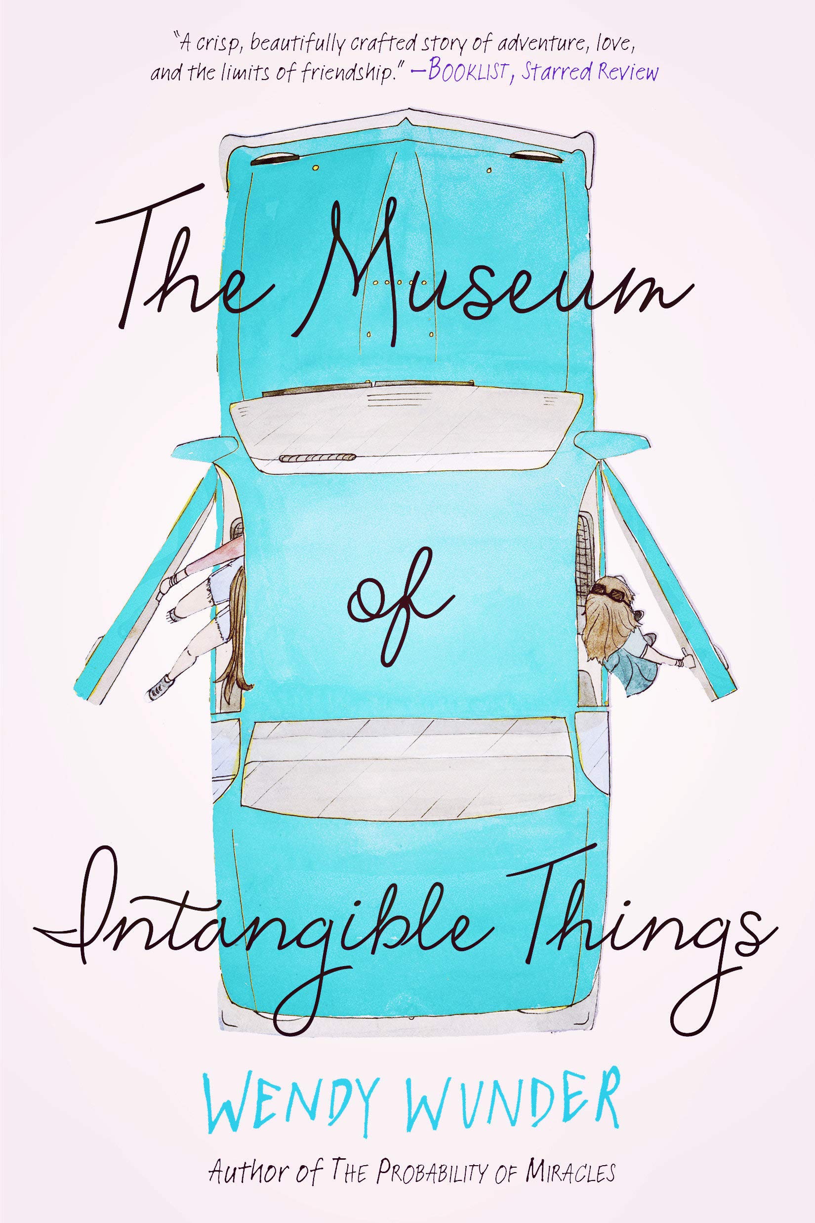 The Museum Of Intangible Things Wunder Wendy 9781595145765 Amazon Com Books