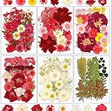 Dried Flowers, Resiners Pressed Flowers for Craft