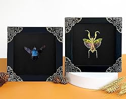 2 Real Green Mantis Blue Bee Frames Dead Insect