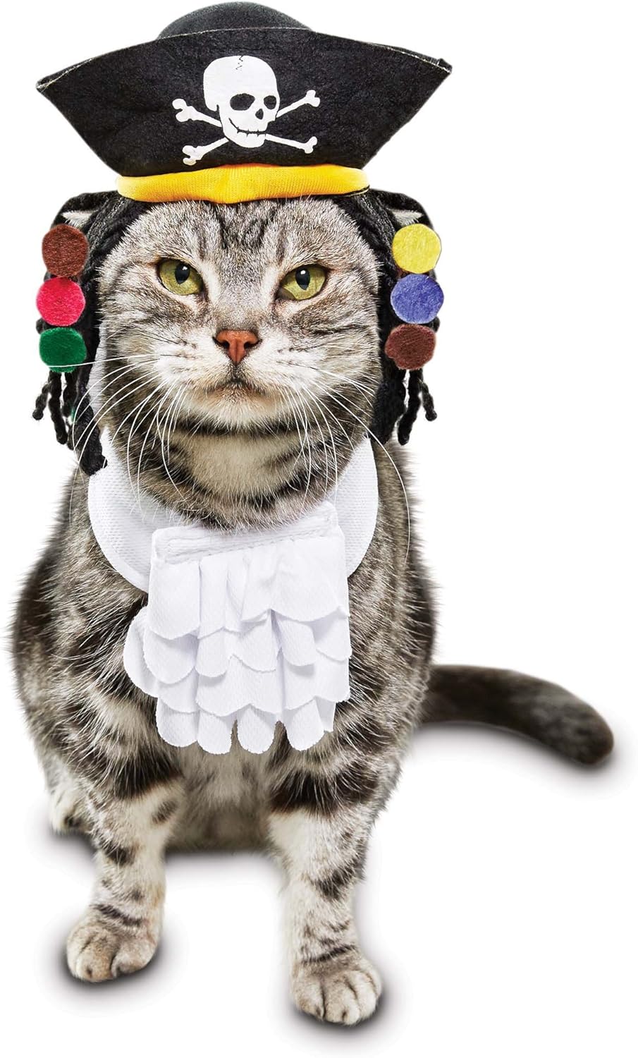 pirate cat collar
