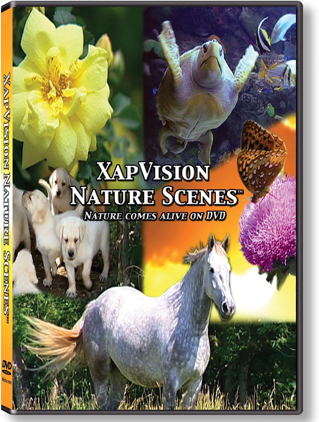 XapVision Nature Scenes DVD