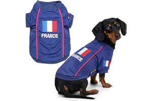 Parisian Pet Dog Jersey - Embroidered 'France' Breathable Mesh Fabric Sports Costume - Football, Olympic Sportswear - XL