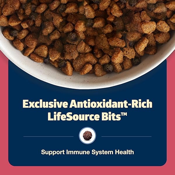 BLUE BUFFALO FREEDOM GRAIN-FREE SMALL BREED DRY DOG FOOD, SUPPORTS HIGH ENERGY NEEDS, MADE IN THE USA WITH NATURAL INGREDIENTS, CHICKEN & POTATOES, 4-LB BAG