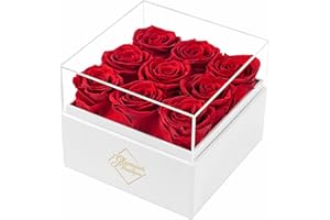 GLAMOUR BOUTIQUE Preserved Roses in a Box - Valentines Day Gifts for Her, Wife & Mom, 9-Piece Rose Forever Flowers Decor for Birthday Gift, Long Lasting Flower Bouquet for Mothers Day - Red