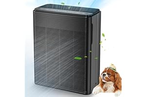AIUZLK Air Purifiers for Home Large Room Up to 2000 sqft,Powerful 24W Moter,For Pets Dander Hair Smoke Odor Wildfire,0.1 Micron H13 HEPA Filter,22dB Low Noise Bedroom,Room Air Purifiers (Black)