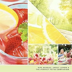Yankee Candle Iced Berry Lemonade