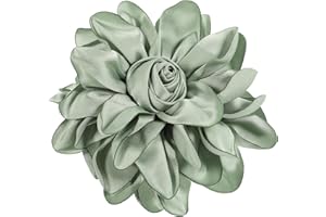 GETAJGHSD Vintage Curtain Tiebacks with Peony Flower Buckles for Living Room and Bedroom Draperies