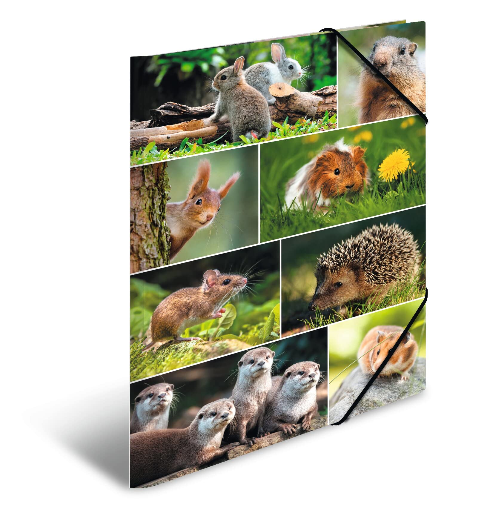 HERMA Portfolio Folder A3 Rodents, Children's Corner Folder Made of Cardboard with Animal Motif, Elastic Band, Inner Flaps and Inner Print for Boys and Girls