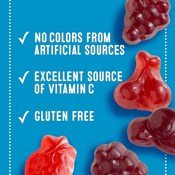 MOTT’S FRUIT FLAVORED SNACKS, BERRY, GLUTEN FREE SNACK, FAMILY PACK, 40 CT, 32 OZ