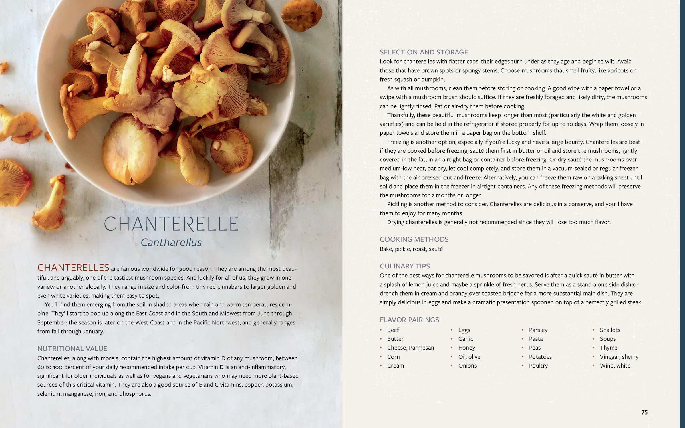 Mushroom Gastronomy: The Art of Cooking with Mushrooms