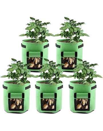 Bolsas para plantas | Amazon.es