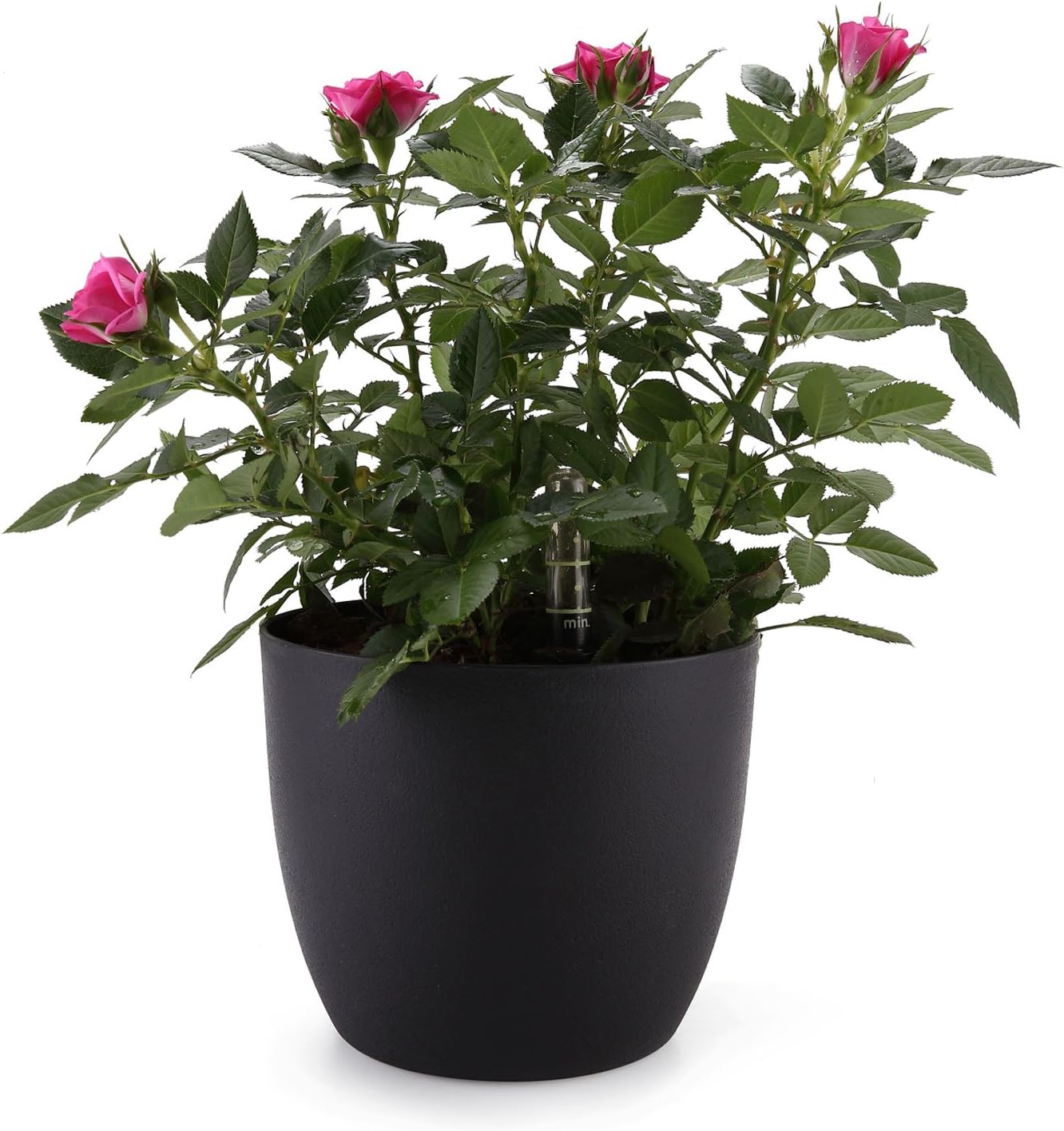 ComSaf 15CM Self Watering Plastic Planter with Water Level Indicator Black, Modern Decorative Planter Pot for All House Plants, Flowers, Herbs, African Violets, Succulents