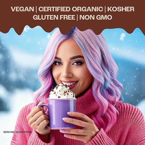 CRAZY CUPS ULTRA PREMIUM HOT CHOCOLATE MIX, DAIRY FREE, ORGANIC VEGAN HOT CHOCOLATE PACKETS, NON GMO RICH HOT COCOA MIX 8 PACKETS