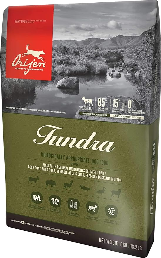 cat is tired and not eating