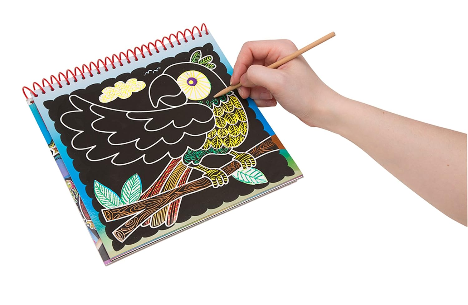 Amazoncom ALEX Toys Artist Studio Scra Ffiti So Fun Scratch Pad