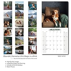 2025-2026 Wall Calendar Nova Scotia Duck Tolling