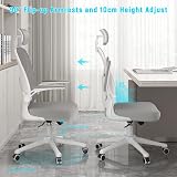 naspaluro Ergonomic Office Desk Chair with Adjustable Headrest Gray view 5