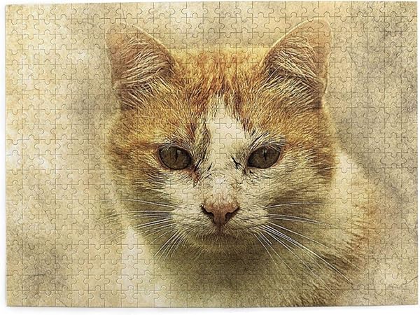 Amazon 500ピース ジグソーパズル 真面目な猫顔 パズル 木製パズル 動物 風景 絵 ピクチュアパズル Puzzle 52 2x38 5cm ジグソーパズル おもちゃ Amazon 500ピース ジグソーパズル 真面目な猫顔 パズル 木製パズル 動物 風景 絵 ピクチュアパズル Puzzle 52 2x38 5cm ジグソーパズル おもちゃ