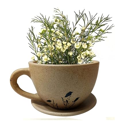 Amazon Com Flower Vase Cup Plate Shape Ceramic Handmade