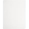 Cytiva 10547922 Cellulose Standard Blotting Paper, Grade GB003, Sheet, 0.8mm Thickness, 200mm Width x 250mm Length (Pack of 100)