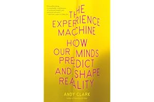 The Experience Machine: How Our Minds Predict and Shape Reality