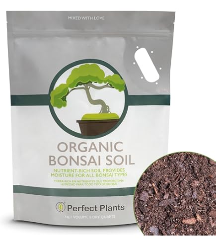 Amazon.com: Espoma Organic & Natural Bonsai Soil - All-Purpose Bonsai Tree  Soil Mix, All-Natural Organic Material Great for All Bonsai Trees  Nutrient-Rich Bonsai Soil Mixture (4 Quarts) : Patio, Lawn & Garden