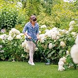 Bosch EasyGrassCut 18V-230 Cordless Grass Trimmer with Battery 2.0Ah view 2